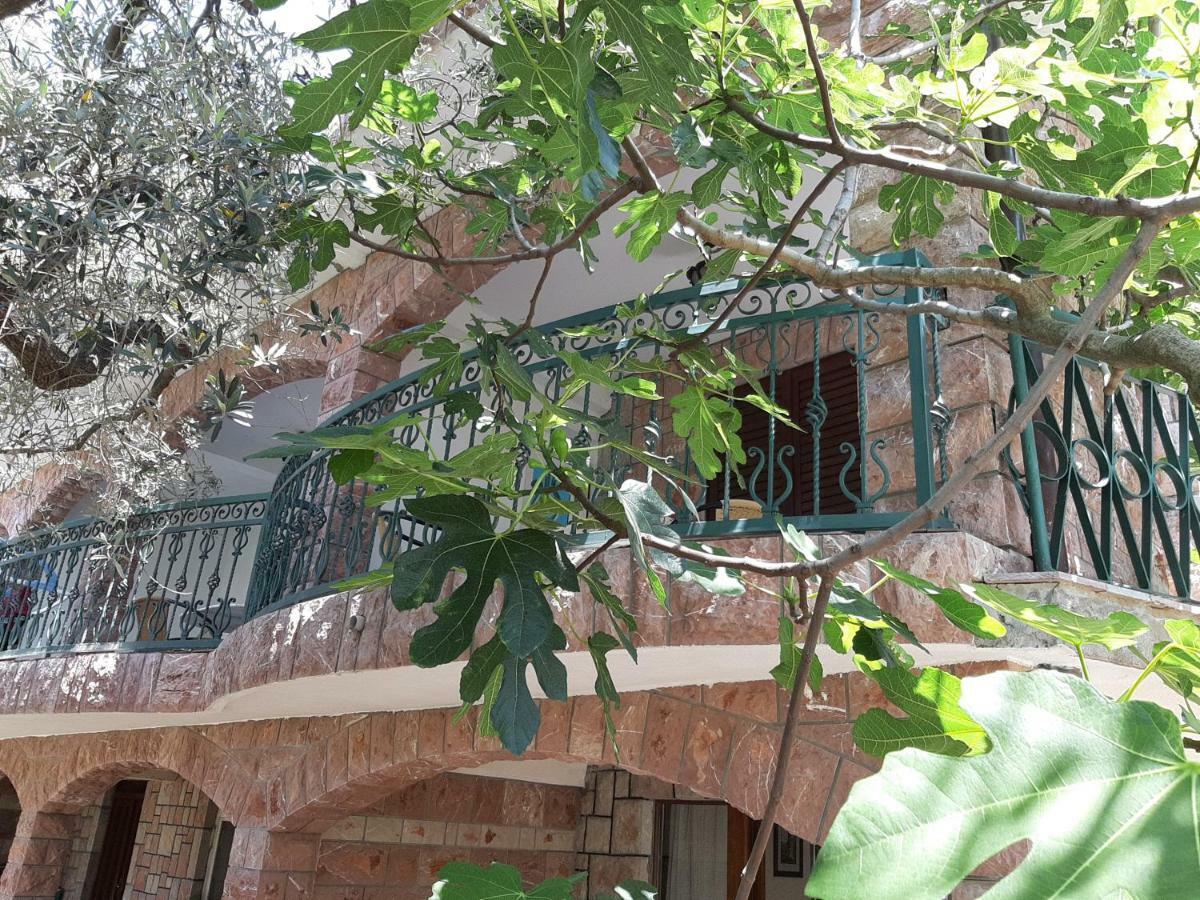 Zoro Apartments Sveti Stefan Exterior photo